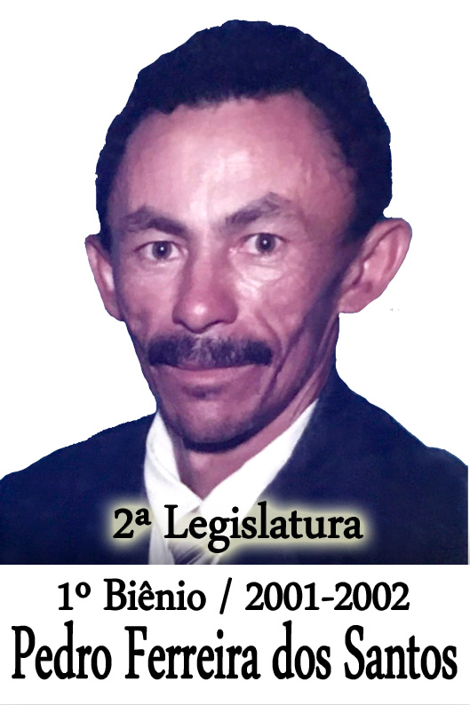 Pedro Ferreira dos Santos